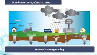 Máy lọc nước Home Pure