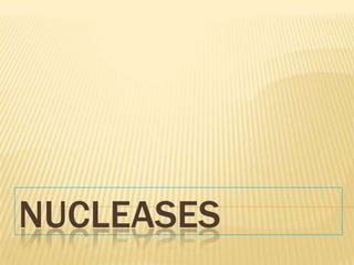 NUCLEASES
 