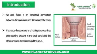  An anal fistula is an abnormal connection
betweentheanalcanalandskinaroundtheanus.
 Itisatube-likestructureandhavingtwoopenings
one opening present in the anal canal and the
otheroneisontheskinaroundtheanus.
WWW.PLANETAYURVEDA.COM
 