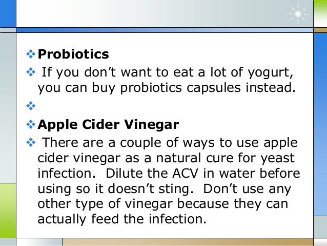 Natural Ways To Cure An Ear Infection In A Dog Natural Ways To Cure An Ear Infection In A Dog
