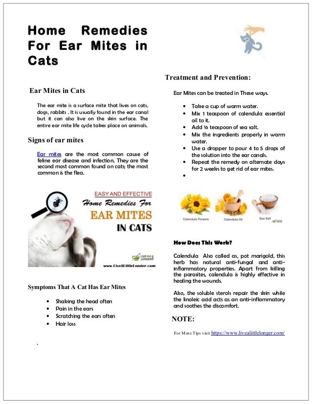 Home remedy for ear mites in cats