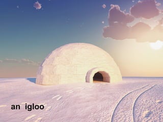 an igloo