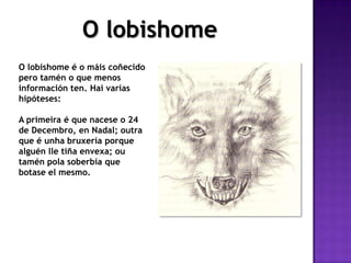O lobishome
O lobishome é o máis coñecido
pero tamén o que menos
información ten. Hai varias
hipóteses:
A primeira é que nacese o 24
de Decembro, en Nadal; outra
que é unha bruxería porque
alguén lle tiña envexa; ou
tamén pola soberbia que
botase el mesmo.
 