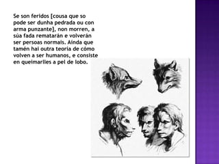 Se son feridos [cousa que so
pode ser dunha pedrada ou con
arma punzante], non morren, a
súa fada rematarán e volverán
ser persoas normais. Aínda que
tamén hai outra teoría de cómo
volven a ser humanos, e consiste
en queimarlles a pel de lobo.
 