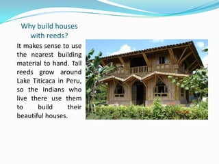 Why build houses
with reeds?
It makes sense to use
the nearest building
material to hand. Tall
reeds grow around
Lake Titicaca in Peru,
so the Indians who
live there use them
to build their
beautiful houses.
 