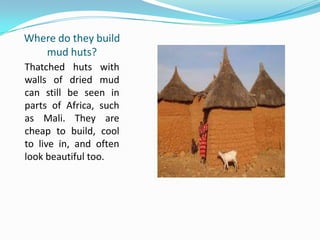 Where do they build
mud huts?
Thatched huts with
walls of dried mud
can still be seen in
parts of Africa, such
as Mali. They are
cheap to build, cool
to live in, and often
look beautiful too.
 