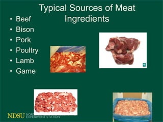 Typical Sources of Meat
Ingredients• Beef
• Bison
• Pork
• Poultry
• Lamb
• Game
 