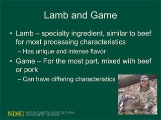 Lamb and Game
• Lamb – specialty ingredient, similar to beef
for most processing characteristics
– Has unique and intense flavor
• Game – For the most part, mixed with beef
or pork
– Can have differing characteristics
 