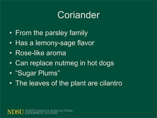 Coriander
• From the parsley family
• Has a lemony-sage flavor
• Rose-like aroma
• Can replace nutmeg in hot dogs
• “Sugar Plums”
• The leaves of the plant are cilantro
 