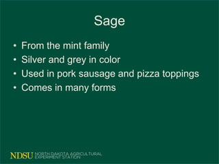 Sage
• From the mint family
• Silver and grey in color
• Used in pork sausage and pizza toppings
• Comes in many forms
 