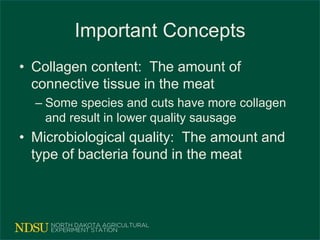 Important Concepts
• Collagen content: The amount of
connective tissue in the meat
– Some species and cuts have more collagen
and result in lower quality sausage
• Microbiological quality: The amount and
type of bacteria found in the meat
 