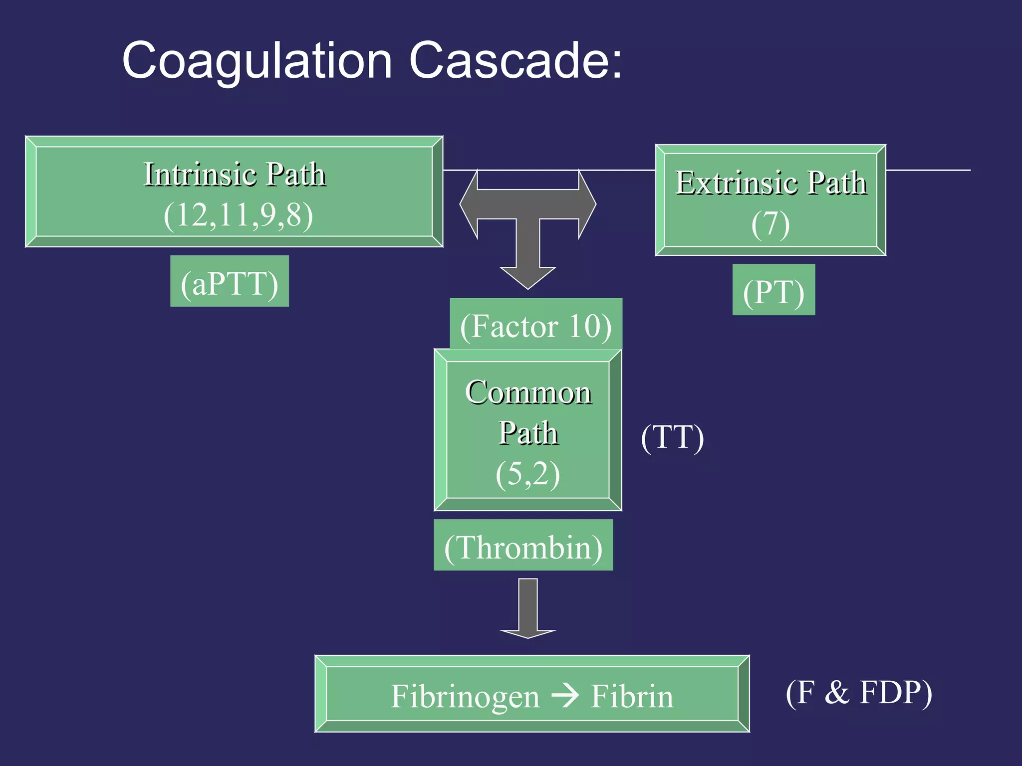 Coagulation Cascade: Intrinsic Path (12,11,9,8) Extrinsic Path (7) Fibrinogen    Fibrin Common Path   (5,2) (PT) (aPTT) (TT) (F & FDP) (Factor 10) (Thrombin) 