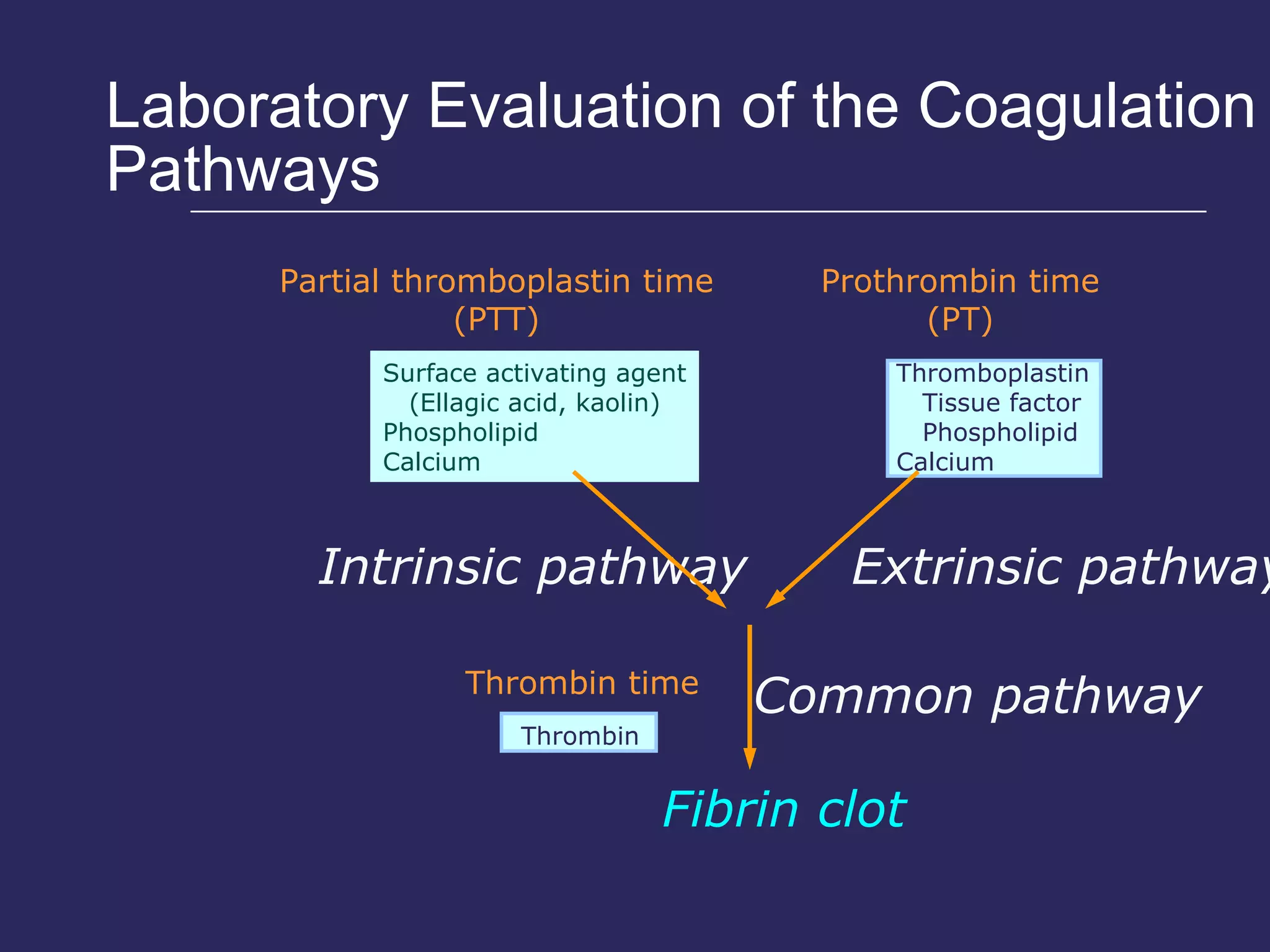 Laboratory Evaluation of the Coagulation Pathways Partial thromboplastin time (PTT) Prothrombin time (PT) Intrinsic pathway Extrinsic pathway Common pathway Thrombin time Thrombin Surface activating agent (Ellagic acid, kaolin) Phospholipid Calcium Thromboplastin Tissue factor Phospholipid Calcium Fibrin clot 