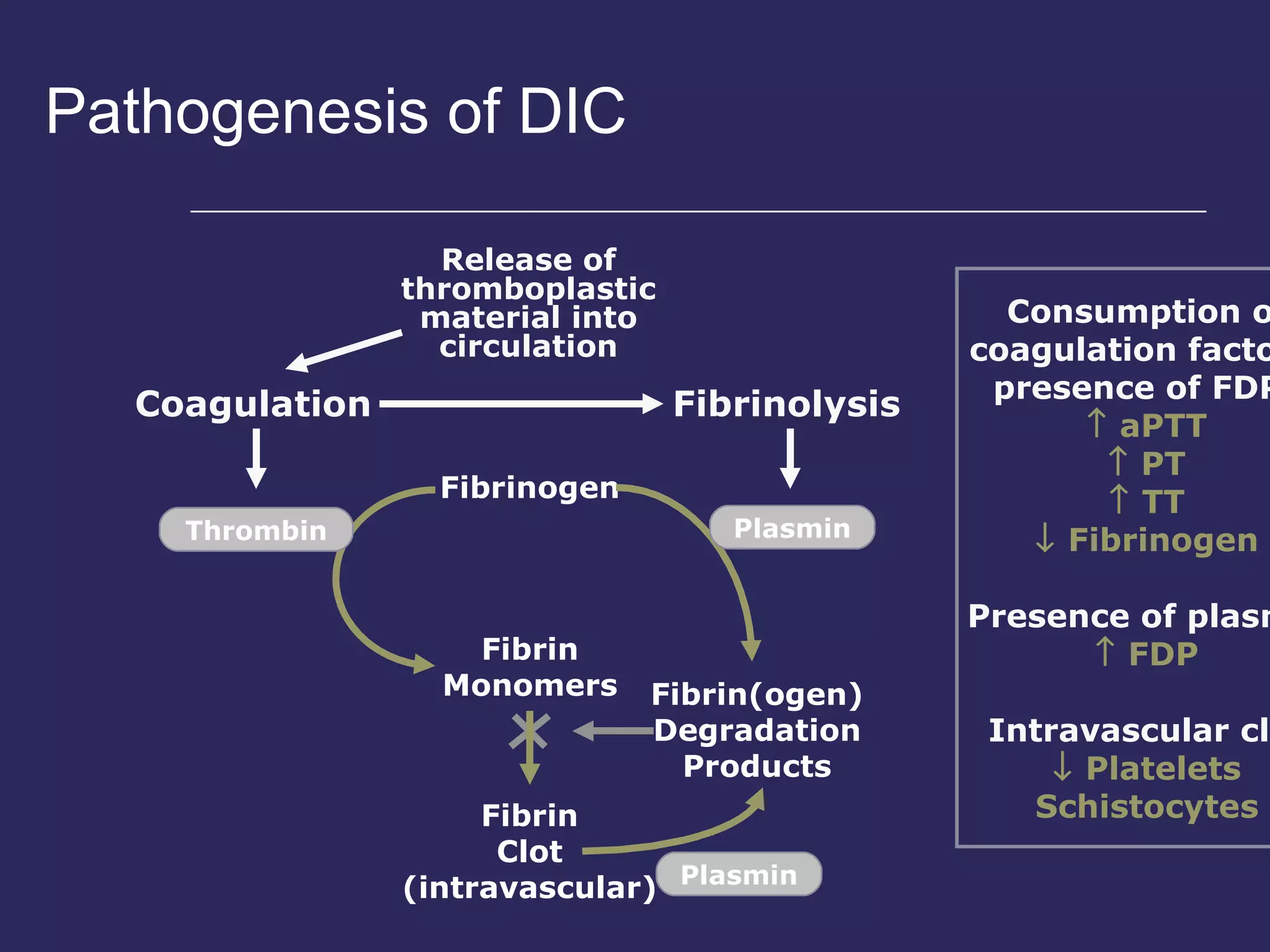 Pathogenesis of DIC Coagulation Fibrinolysis Fibrinogen Fibrin Monomers Fibrin Clot (intravascular) Fibrin(ogen) Degradation Products Plasmin Thrombin Plasmin Release of thromboplastic material into circulation Consumption of coagulation factors; presence of FDPs    aPTT    PT    TT    Fibrinogen Presence of plasmin    FDP Intravascular clot    Platelets Schistocytes 