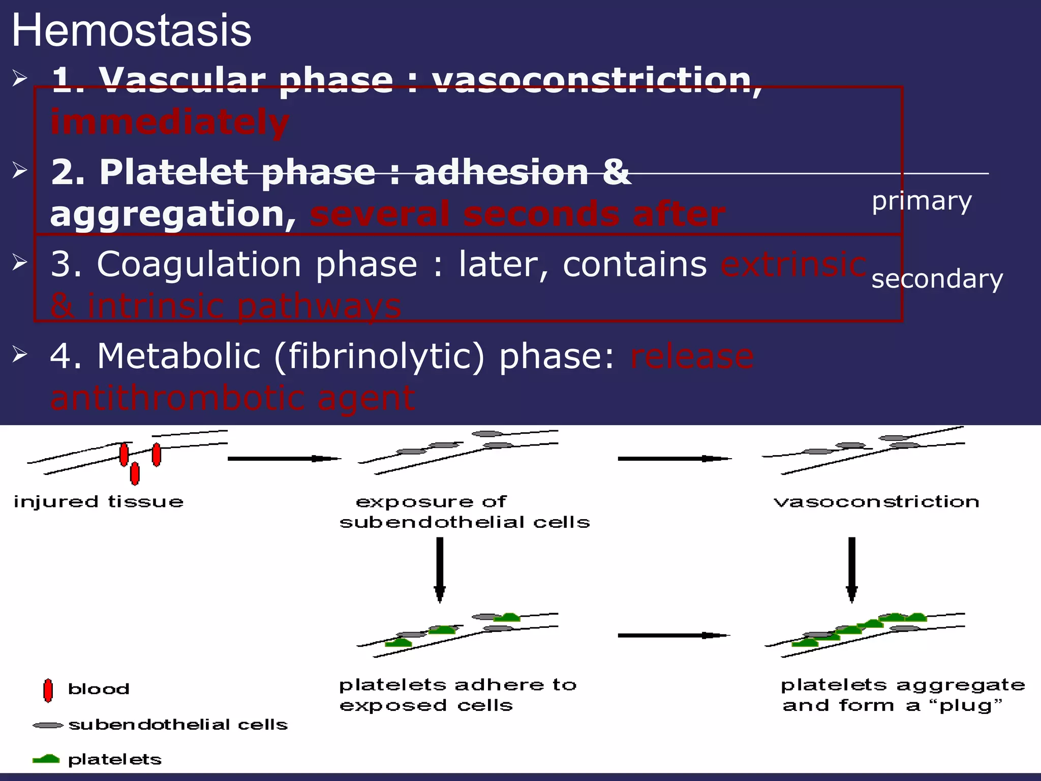 Hemostasis 1. Vascular phase : vasoconstriction,  immediately 2. Platelet phase : adhesion & aggregation,  several seconds after 3. Coagulation phase : later, contains  extrinsic & intrinsic pathways  4. Metabolic (fibrinolytic) phase:  release antithrombotic agent primary secondary 
