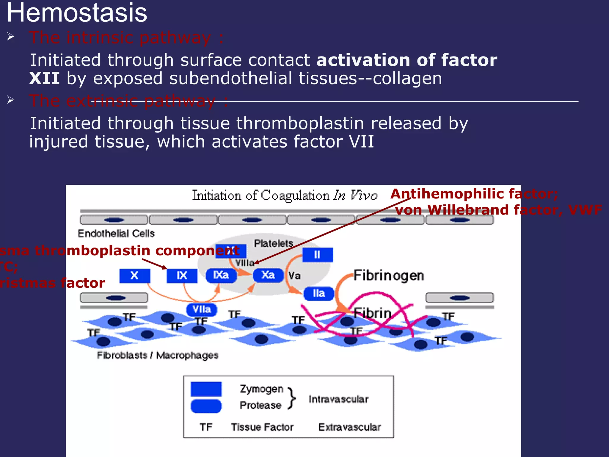 Hemostasis The intrinsic pathway : Initiated through surface contact  activation of factor XII  by exposed subendothelial tissues--collagen The extrinsic pathway : Initiated through tissue thromboplastin released by injured tissue, which activates factor VII Antihemophilic factor; von Willebrand factor, VWF Plasma thromboplastin component , PTC; Christmas factor 