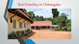 Best HomeStay in Chikmagalur
 