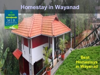 Homestay in Wayanad




                    Best
                 Homestays
                 in Wayanad
 