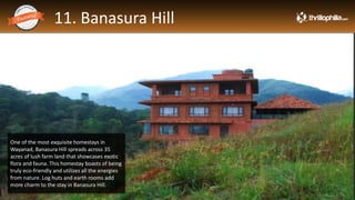 11. Banasura Hill
Thrillophilia.com 2014 All rights reserved. Please do not forward soft or hard copy without permissions
One of the most exquisite homestays in
Wayanad, Banasura Hill spreads across 35
acres of lush farm land that showcases exotic
flora and fauna. This homestay boasts of being
truly eco-friendly and utilizes all the energies
from nature. Log huts and earth rooms add
more charm to the stay in Banasura Hill.
 