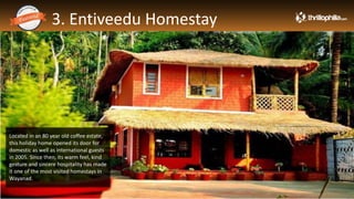 3. Entiveedu Homestay
Thrillophilia.com 2014 All rights reserved. Please do not forward soft or hard copy without permissions
Located in an 80 year old coffee estate,
this holiday home opened its door for
domestic as well as international guests
in 2005. Since then, its warm feel, kind
gesture and sincere hospitality has made
it one of the most visited homestays in
Wayanad.
 