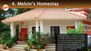 Thrillophilia.com 2014 All rights reserved. Please do not forward soft or hard copy without permissions
4. Melvin’s Homestay
Melvin's Homestay is a holiday home where
homeliness is perfectly clubbed with luxury
and comfort. With stunning hills on one side
and scenic tea plantations on the other, it is
located in the heart of Wayanad. Ideal for
national and international families with kids,
corporate teams, nature lovers and couples,
it serves a delectable range of Malabar
cuisines to its guests.
 