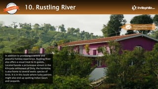 10. Rustling River
Thrillophilia.com 2014 All rights reserved. Please do not forward soft or hard copy without permissions
In addition to promising a serene and
peaceful holiday experience, Rustling River
also offers a visual treat to its guests.
Located beside a picturesque stream in the
Kilinjada settlement of Ooty, the homestay
is also home to several exotic species of
birds. It is in this locale where lucky patrons
might also end up spotting Indian Gaurs
and Leopards.
 
