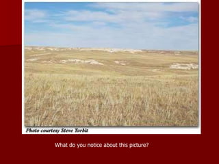 What do you notice about this picture? 