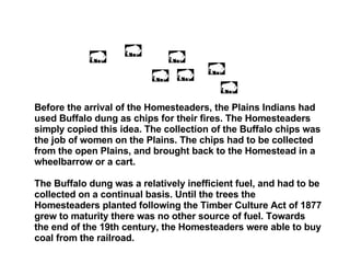 Buffalo Homestead Program Homesteaders Living On The Plains | ODP