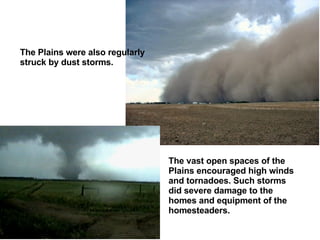 The Plains were also regularly struck by dust storms.  The vast open spaces of the Plains encouraged high winds and tornad...