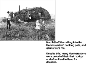 Mud fell off the ceiling into the Homesteaders’ cooking pots, and germs were rife.  Despite this, many Homesteaders were p...