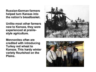 Russian-German farmers helped turn Kansas into the nation's breadbasket. Unlike most other farmers new to Kansas, they were experienced at prairie-style agriculture. Mennonites often are credited with introducing Turkey red wheat to Kansas. This hardy winter variety flourished on the Plains. 