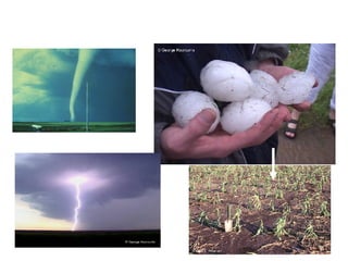 You can’t beat the weather! 