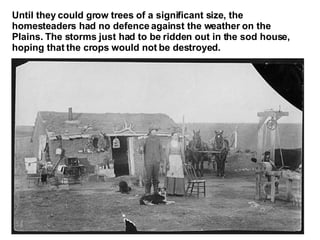Until they could grow trees of a significant size, the homesteaders had no defence against the weather on the Plains. The storms just had to be ridden out in the sod house, hoping that the crops would not be destroyed. 