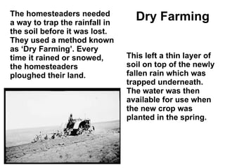 The homesteaders needed a way to trap the rainfall in the soil before it was lost. They used a method known as ‘Dry Farming’. Every time it rained or snowed, the homesteaders ploughed their land.  This left a thin layer of soil on top of the newly fallen rain which was trapped underneath. The water was then available for use when the new crop was planted in the spring. Dry Farming 