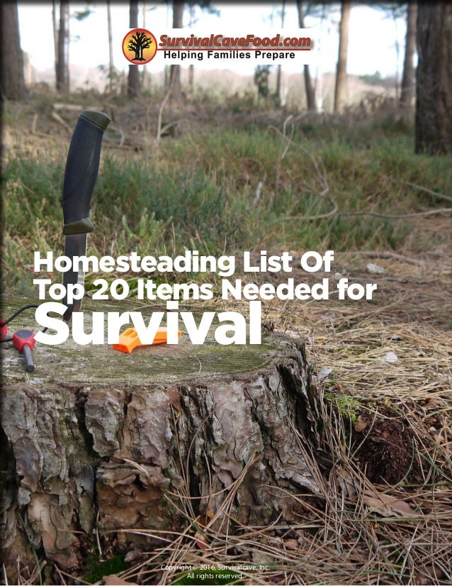 Homesteading List Of Top 20 Items Needed for Survival