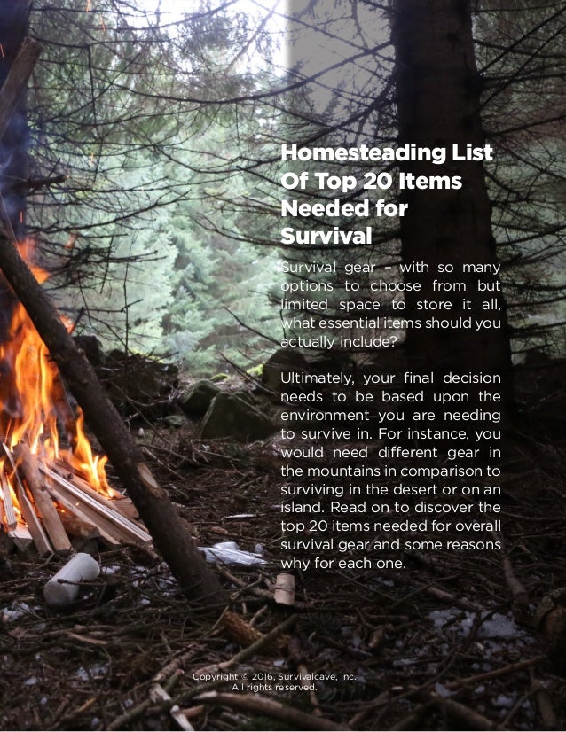Homesteading List Of Top 20 Items Needed for Survival