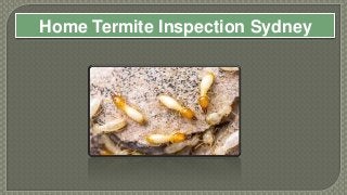 Home Termite Inspection Sydney
 