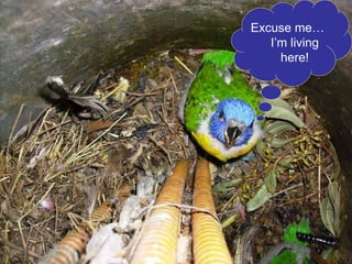 Excuse me… I’m living here! 