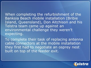 When completing the refurbishment of the Banksia Beach mobile installation (Bribie Island, Queensland), Don Aitchison and his Telstra team came up against an environmental challenge they weren’t expecting.  To complete their task of replacing antenna cable connectors at the mobile installation they first had to negotiate an osprey nest built on top of the feeder exit. 