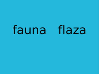 fauna  flaza 