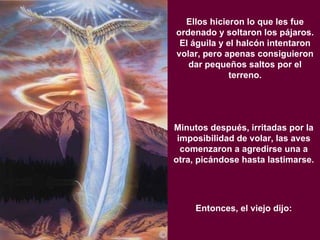 Ellos hicieron lo que les fue ordenado y soltaron los pájaros. El águila y el halcón intentaron volar, pero apenas consiguieron dar pequeños saltos por el terreno. Minutos después, irritadas por la imposibilidad de volar, las aves comenzaron a agredirse una a otra, picándose hasta lastimarse. Entonces, el viejo dijo: 