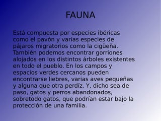 FAUNA
Está compuesta por especies ibéricas
como el pavón y varias especies de
pájaros migratorios como la cigüeña.
También podemos encontrar gorriones
alojados en los distintos árboles existentes
en todo el pueblo. En los campos y
espacios verdes cercanos pueden
encontrarse liebres, varias aves pequeñas
y alguna que otra perdíz. Y, dicho sea de
paso, gatos y perros abandonados,
sobretodo gatos, que podrían estar bajo la
protección de una familia.
 