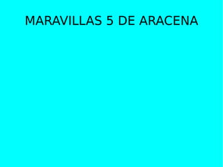 MARAVILLAS 5 DE ARACENA 