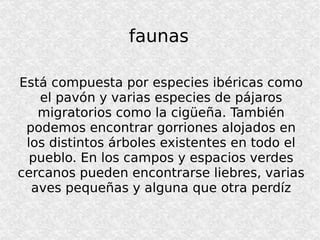 faunas Está compuesta por especies ibéricas como el pavón y varias especies de pájaros migratorios como la cigüeña. También podemos encontrar gorriones alojados en los distintos árboles existentes en todo el pueblo. En los campos y espacios verdes cercanos pueden encontrarse liebres, varias aves pequeñas y alguna que otra perdíz 