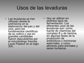 Usos de las levaduras Las levaduras se han utilizado desde la prehistoria en la elaboración del pan y del vino, pero los fundamentos científicos de su cultivo y uso en grandes cantidades fueron descubiertos por el microbiólogo francés Louis Pasteur en el siglo XIX.  Hoy se utilizan en distintos tipos de fermentación. Los diferentes usos de las levaduras son: como fuente de vitaminas del complejo B y de tiamina, en algunas fases de la producción de antibióticos y hormonas esteroides, y como alimento para animales y seres humanos.  