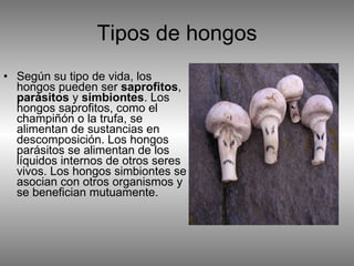 Tipos de hongos Según su tipo de vida, los hongos pueden ser  saprofitos ,  parásitos  y  simbiontes . Los hongos saprofitos, como el champiñón o la trufa, se alimentan de sustancias en descomposición. Los hongos parásitos se alimentan de los líquidos internos de otros seres vivos. Los hongos simbiontes se asocian con otros organismos y se benefician mutuamente.  