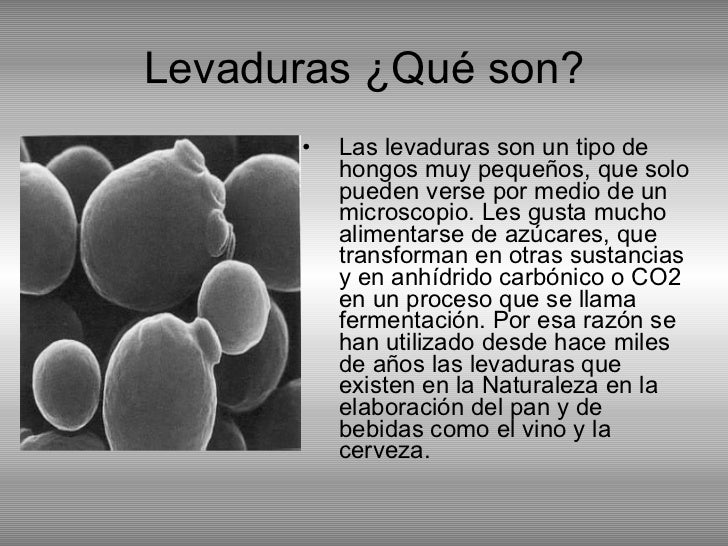 Se ponen negro las uñas en las manos el tratamiento