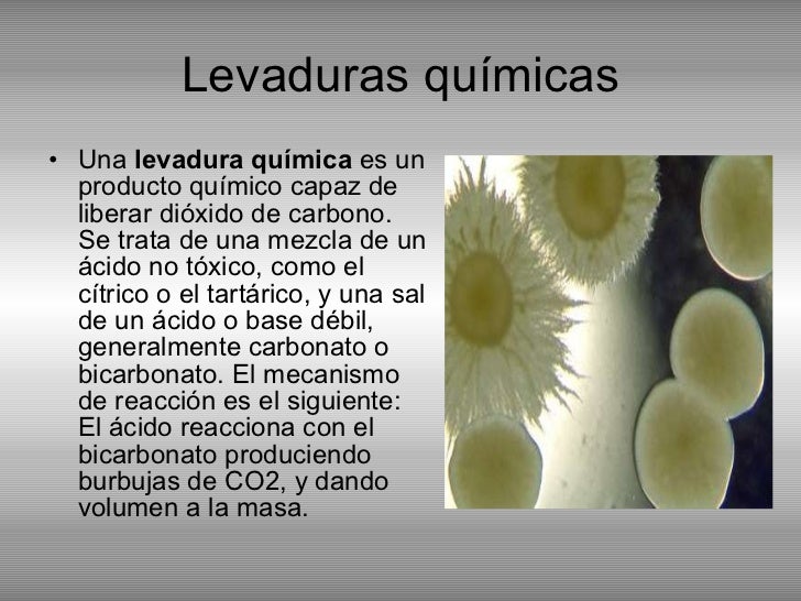 El coste lotserila en novosibirske