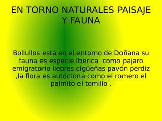 EN TORNO NATURALES PAISAJE Y FAUNA Bollullos está en el entorno de Doñana su fauna es especie Iberica  como pajaro emigratorio liebres cigüeñas pavón perdiz ,la flora es autoctona como el romero el palmito el tomillo . 