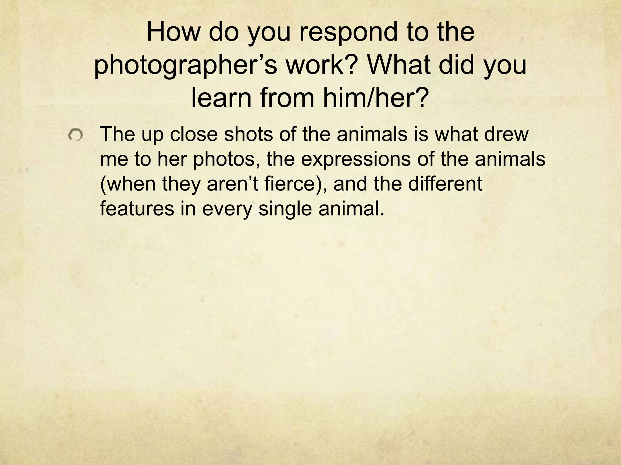How do you respond to the
photographer’s work? What did you
learn from him/her?
The up close shots of the animals is what drew
me to her photos, the expressions of the animals
(when they aren’t fierce), and the different
features in every single animal.
 